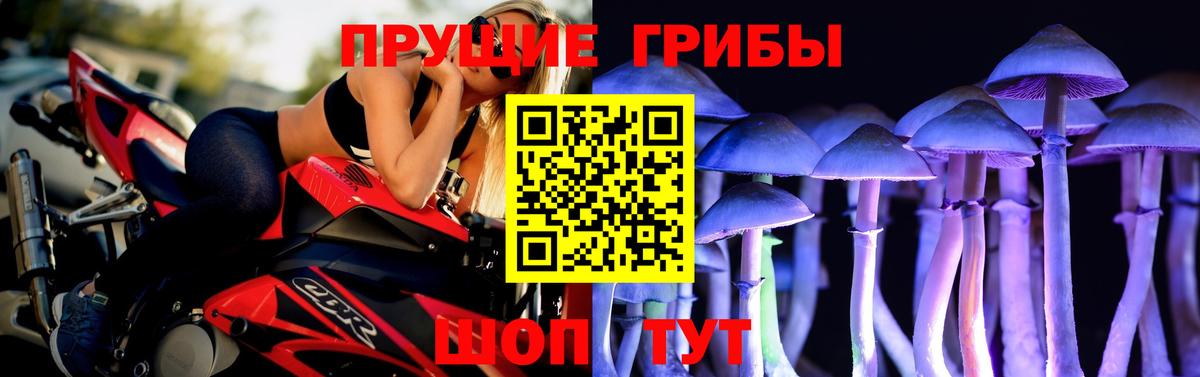 Галлюциногенные грибы Psilocybe Острогожск